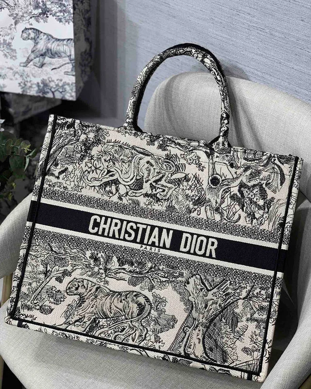 Luxury Christian Dior crossbody bags with a chain - link strapDior Bags -The Arid Bag Shop Bags - 347